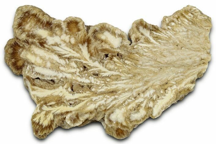 Polished Barite Slab - Lubin Mine, Poland #348887